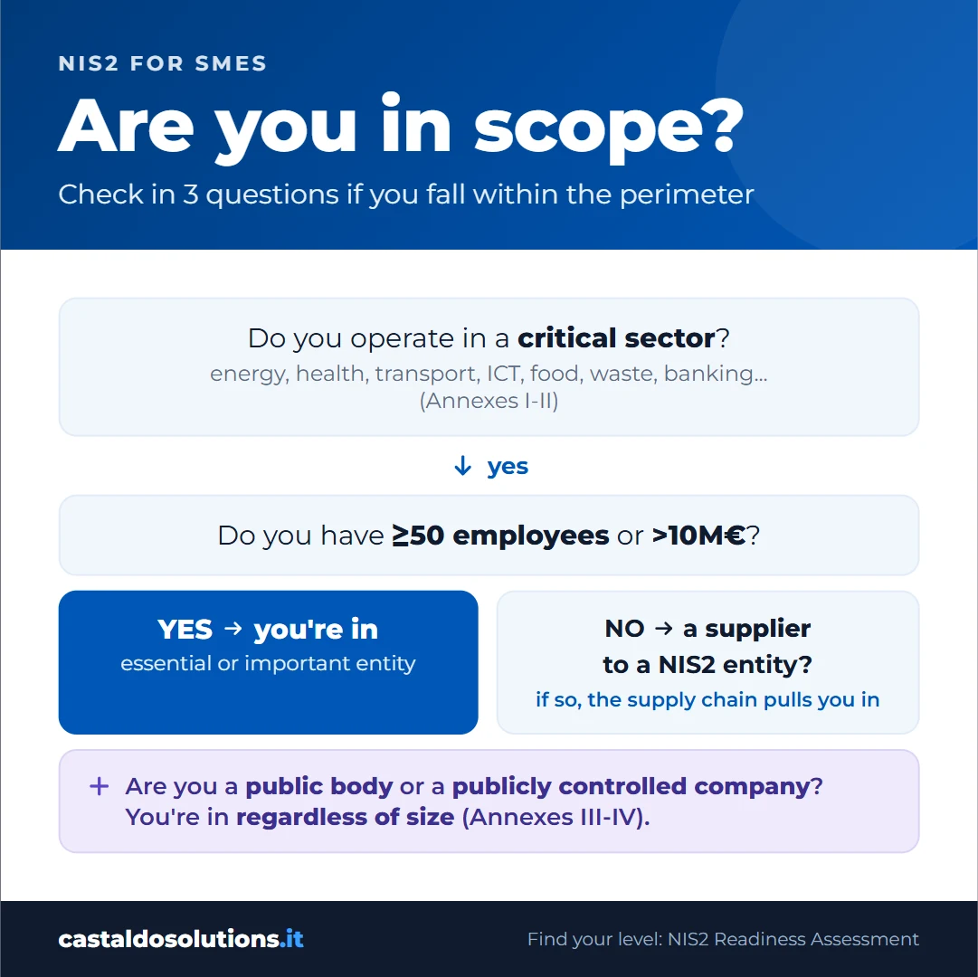 Decision tree: does NIS2 apply to your company?