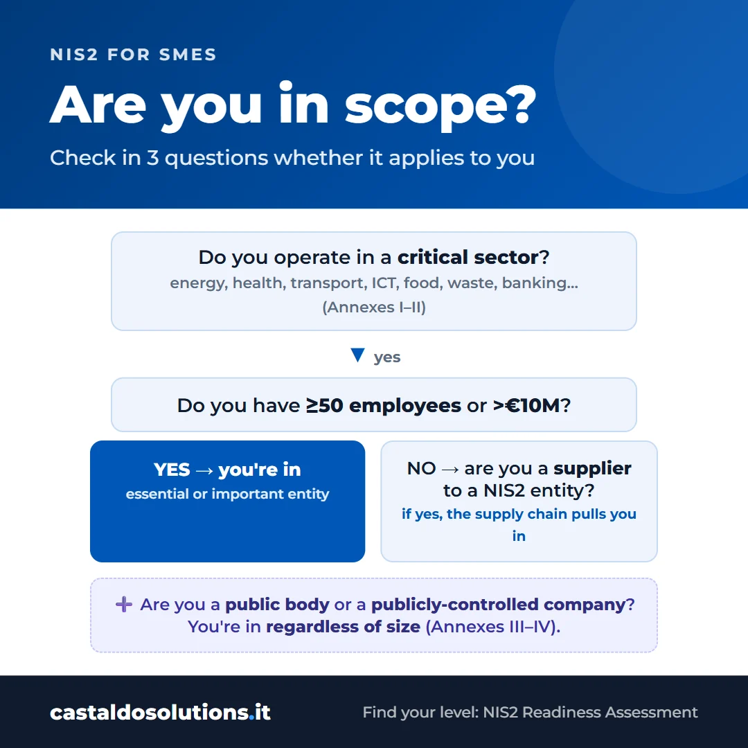 Decision tree: does NIS2 apply to your company?